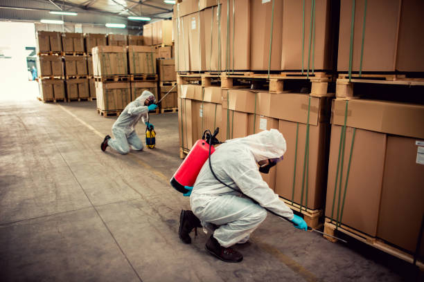 Best Affordable Pest Control Services  in Cotulla, TX