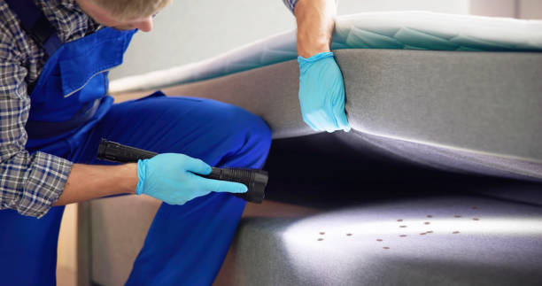 Best Mosquito Control Services  in Cotulla, TX