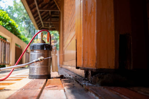 Best Ant Control Services  in Cotulla, TX