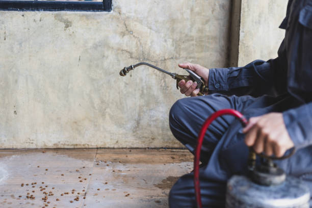 Best Pest Control Treatment  in Cotulla, TX