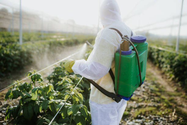 Insect Control in Cotulla, TX